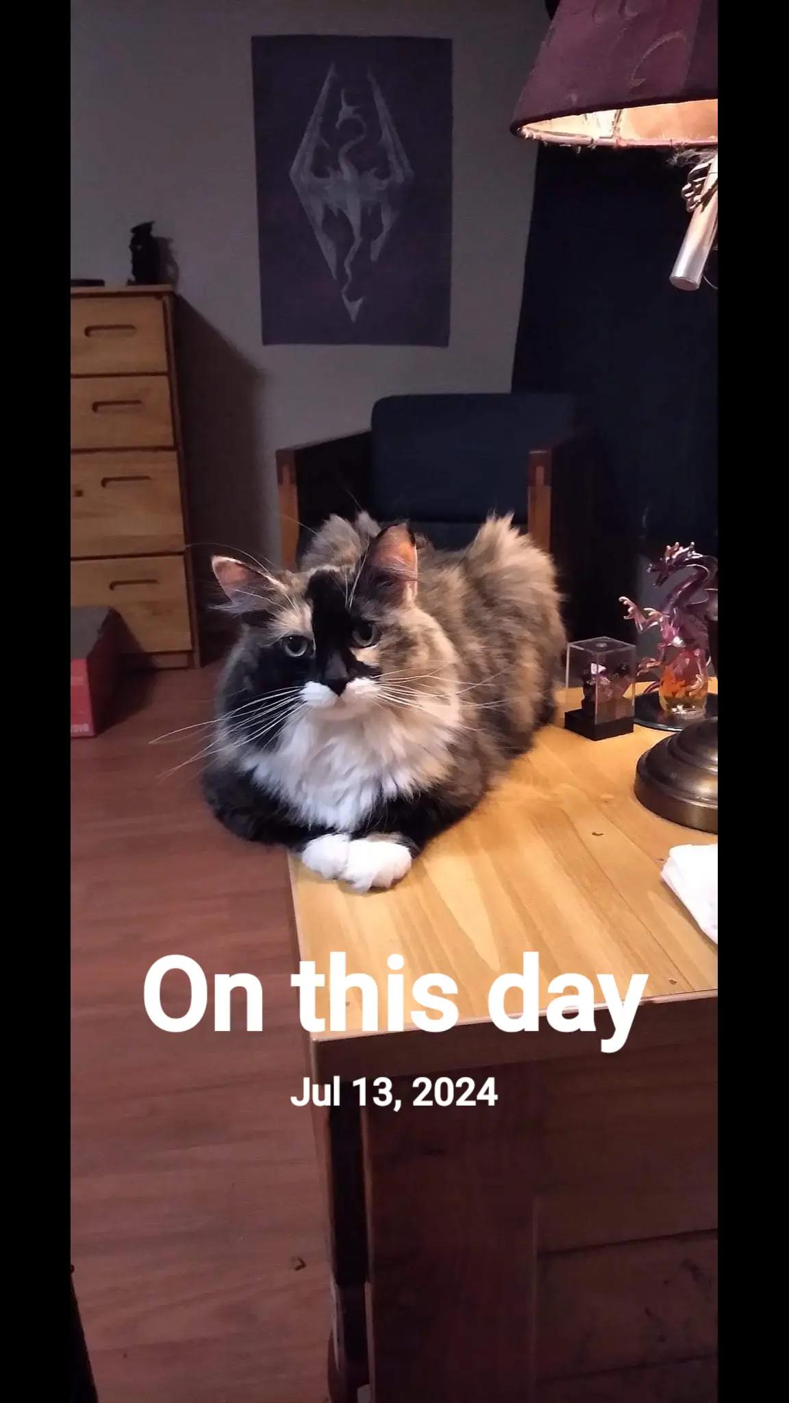 @biology_brat_mk2