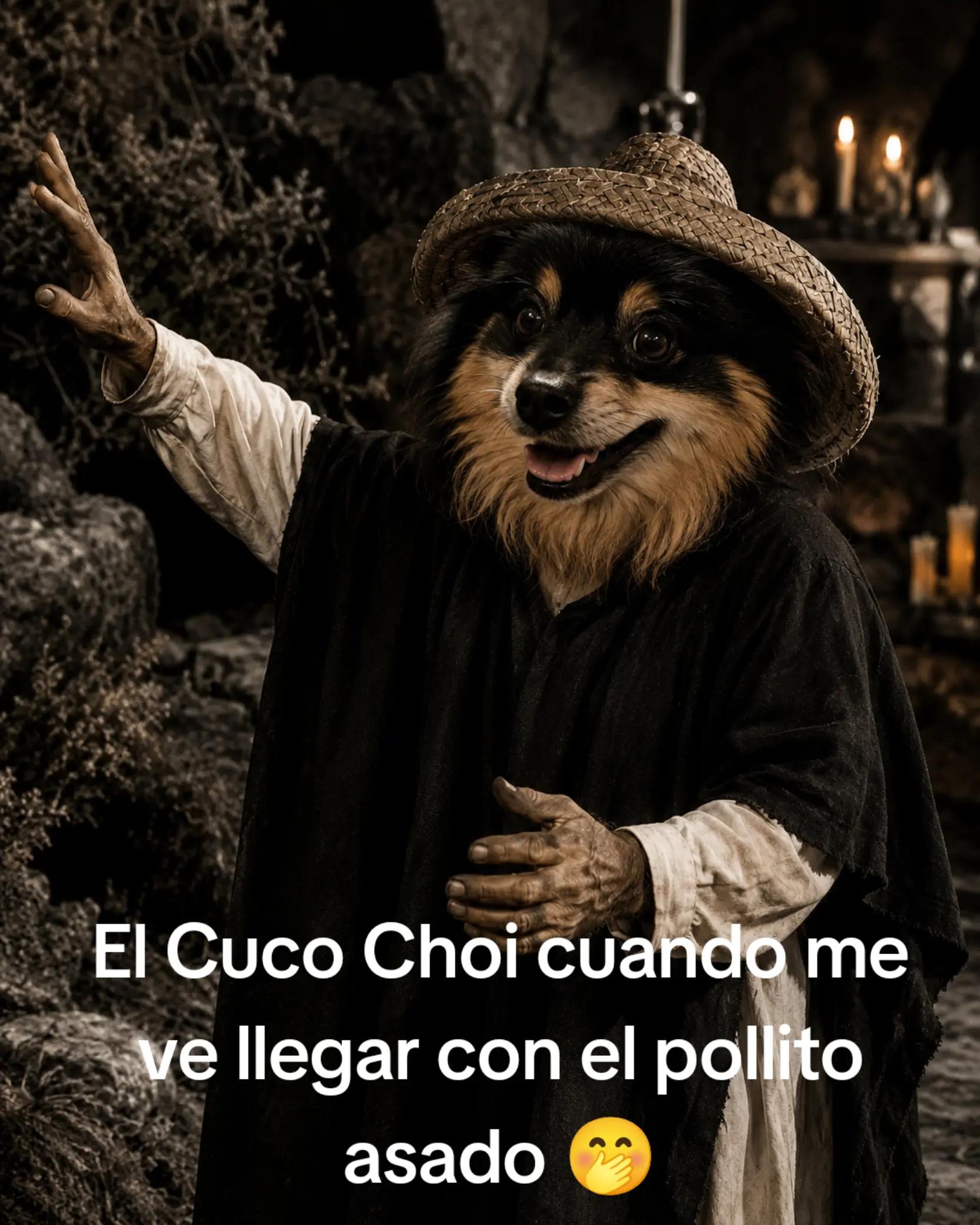 @Susanita