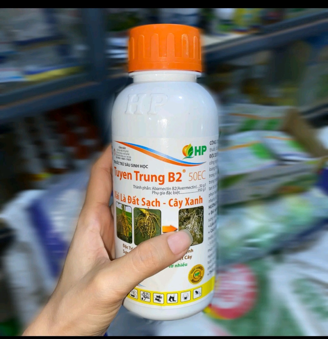 @LUONG THI MAI MAI