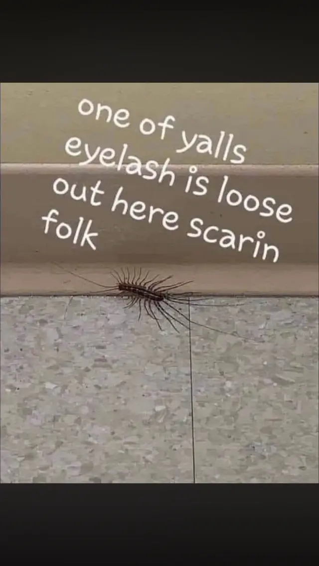 @Kriss52521