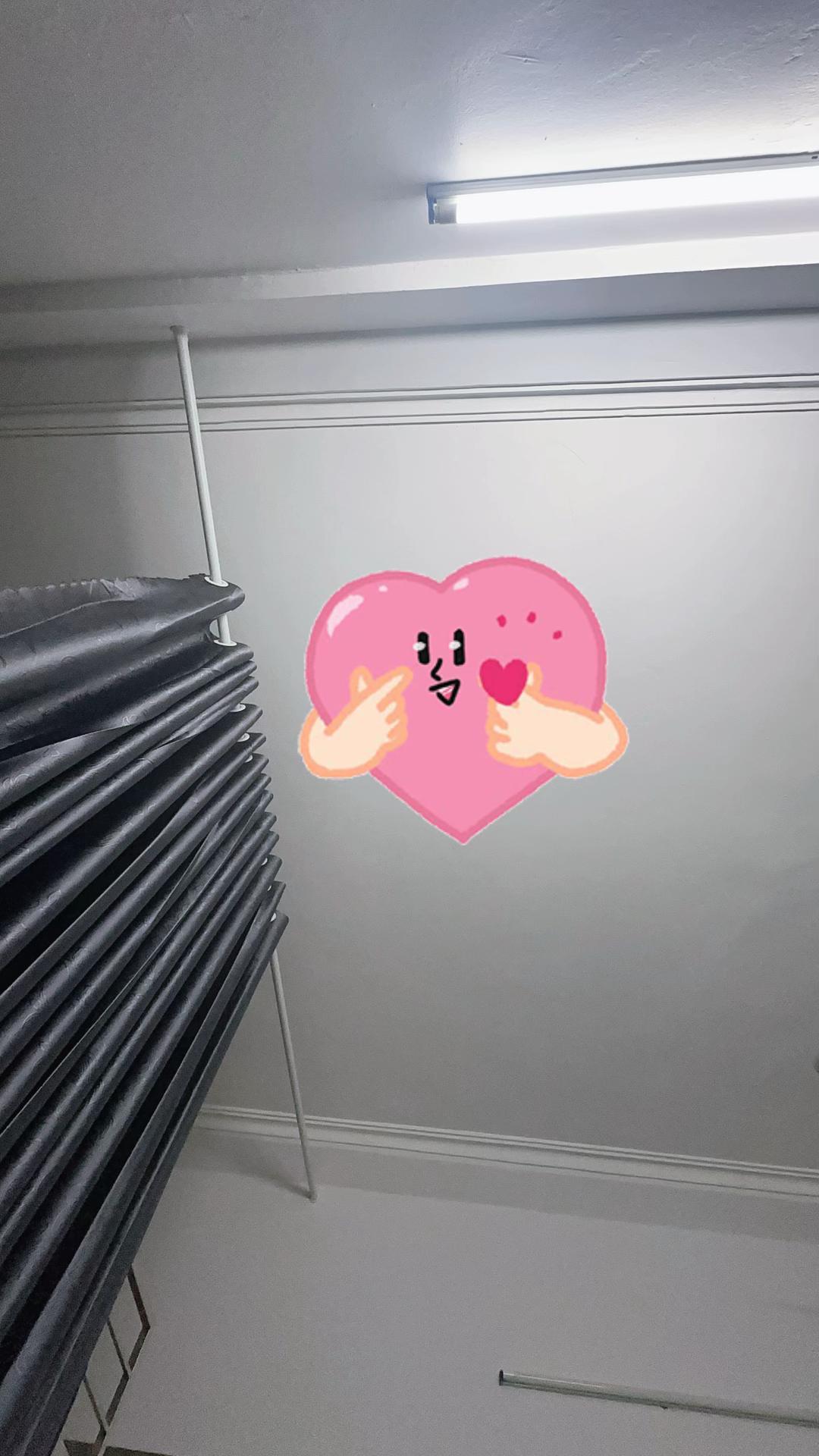@Hoa s&uacute;n ( nh&iacute; nhố)