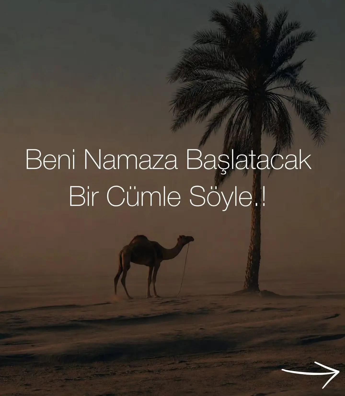 @Hadis_ve_dua_