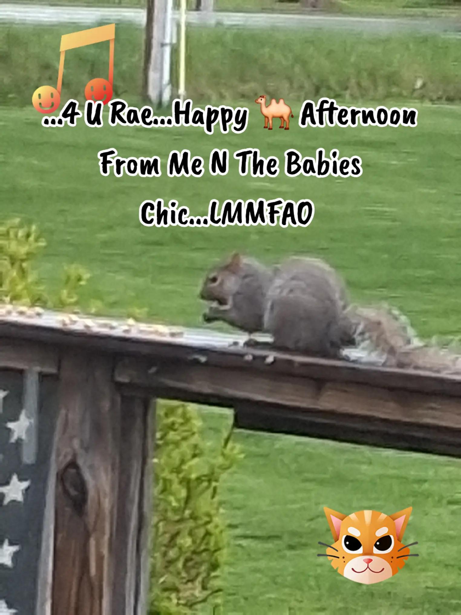 @Booh Hovey crazycatlady3