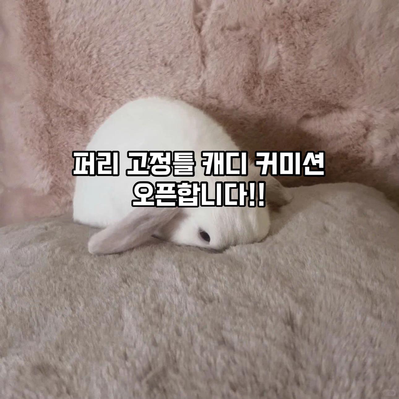 @시쿠Shiku