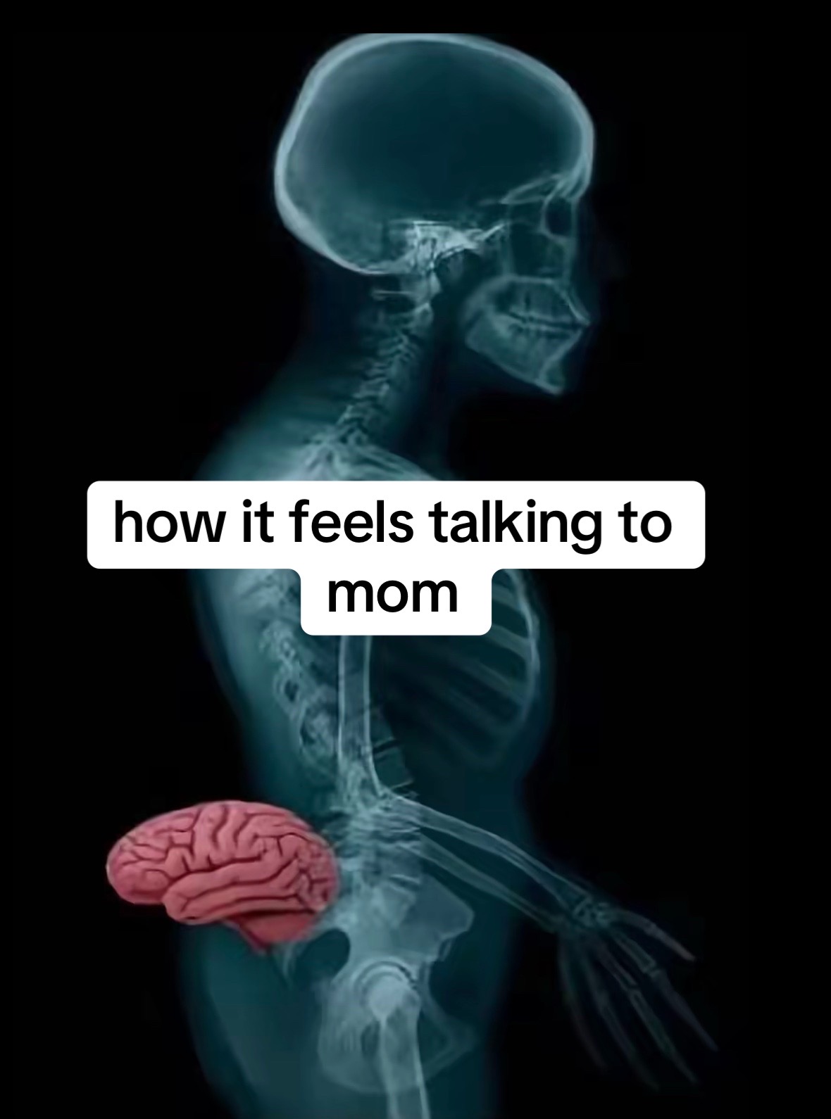 @&bull;