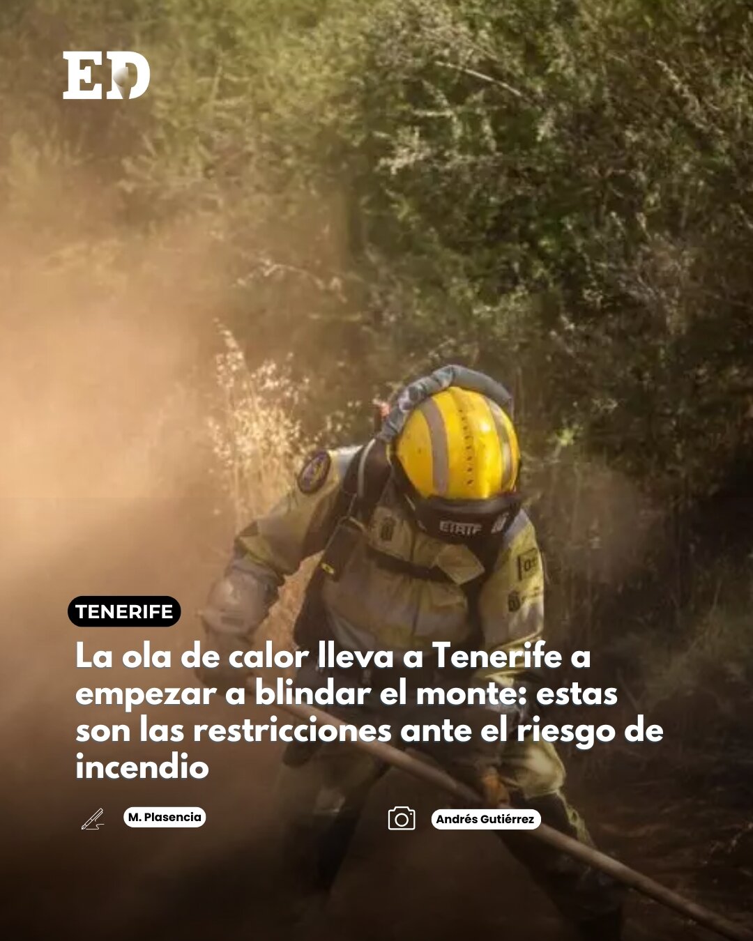 @El Día - Tenerife