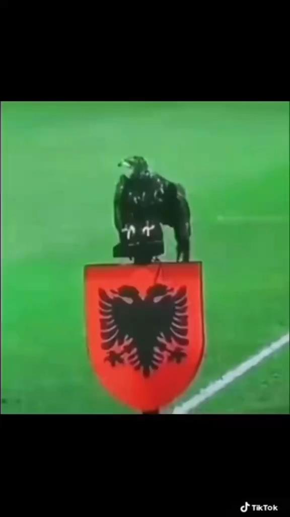 @Leonit🇦🇱