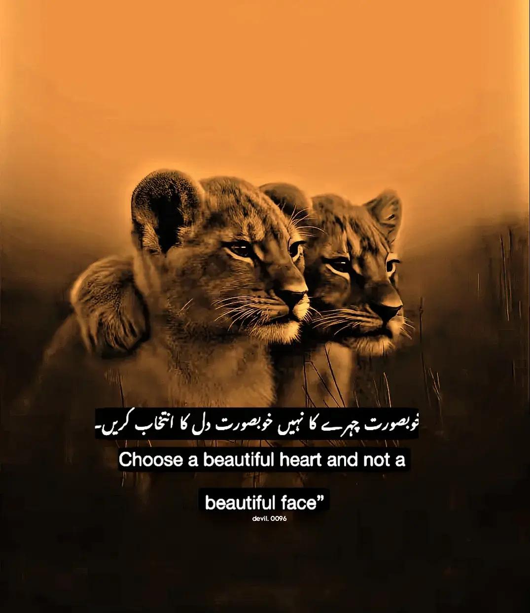 @𝑅𝒶ن𝒶 𝐻𝓊س𝓃𝒶𝒾𝓃
