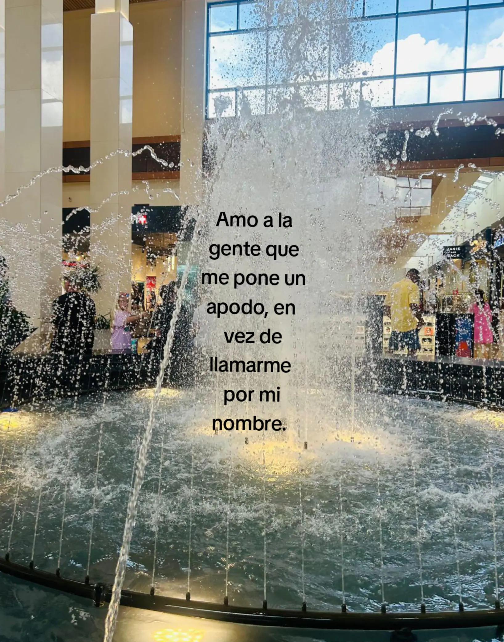 @Haydet 🤍✨️