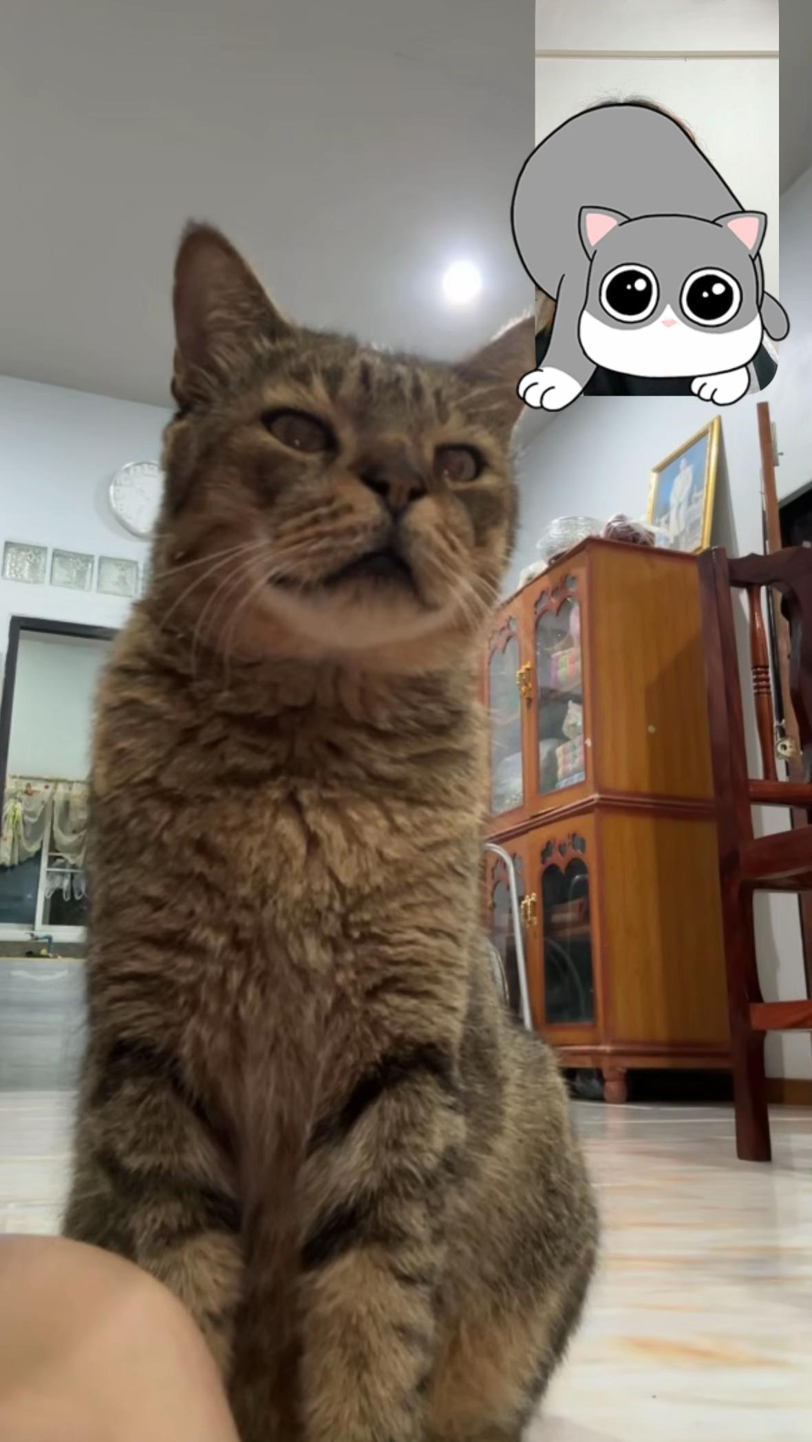 @น้องตุ้งจะเป็นอินฟลู