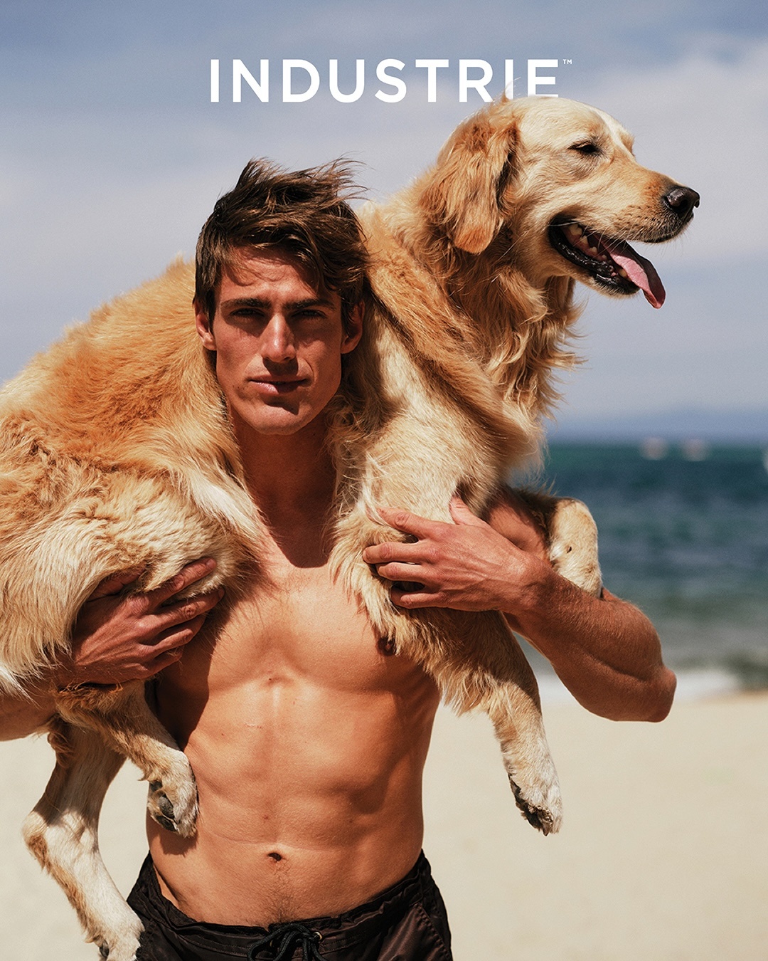 @DT Model Management