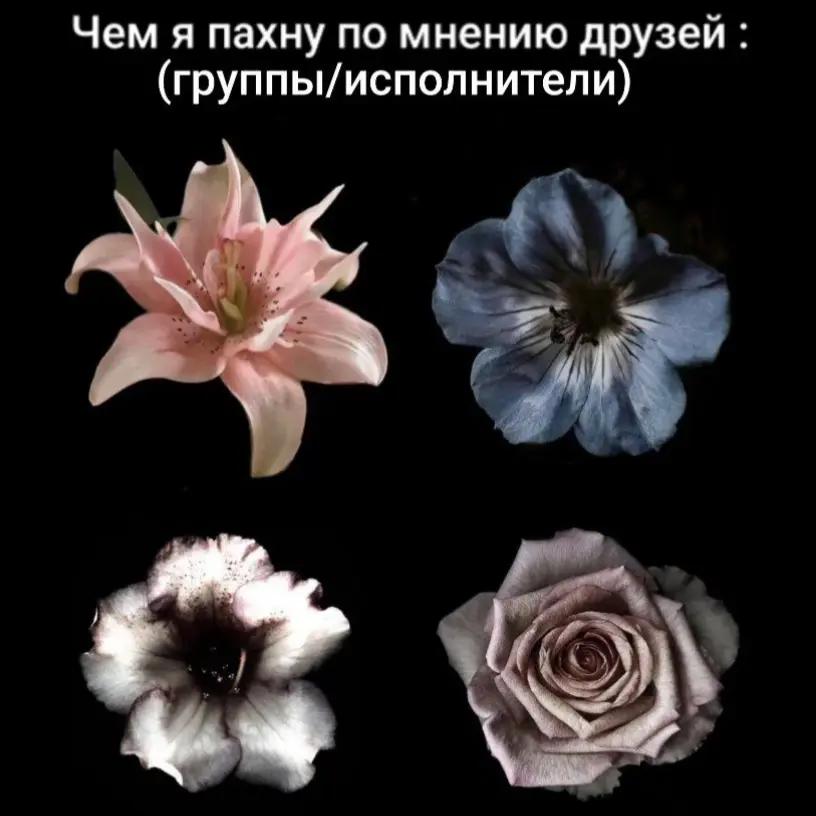 @кипятильник³⁷