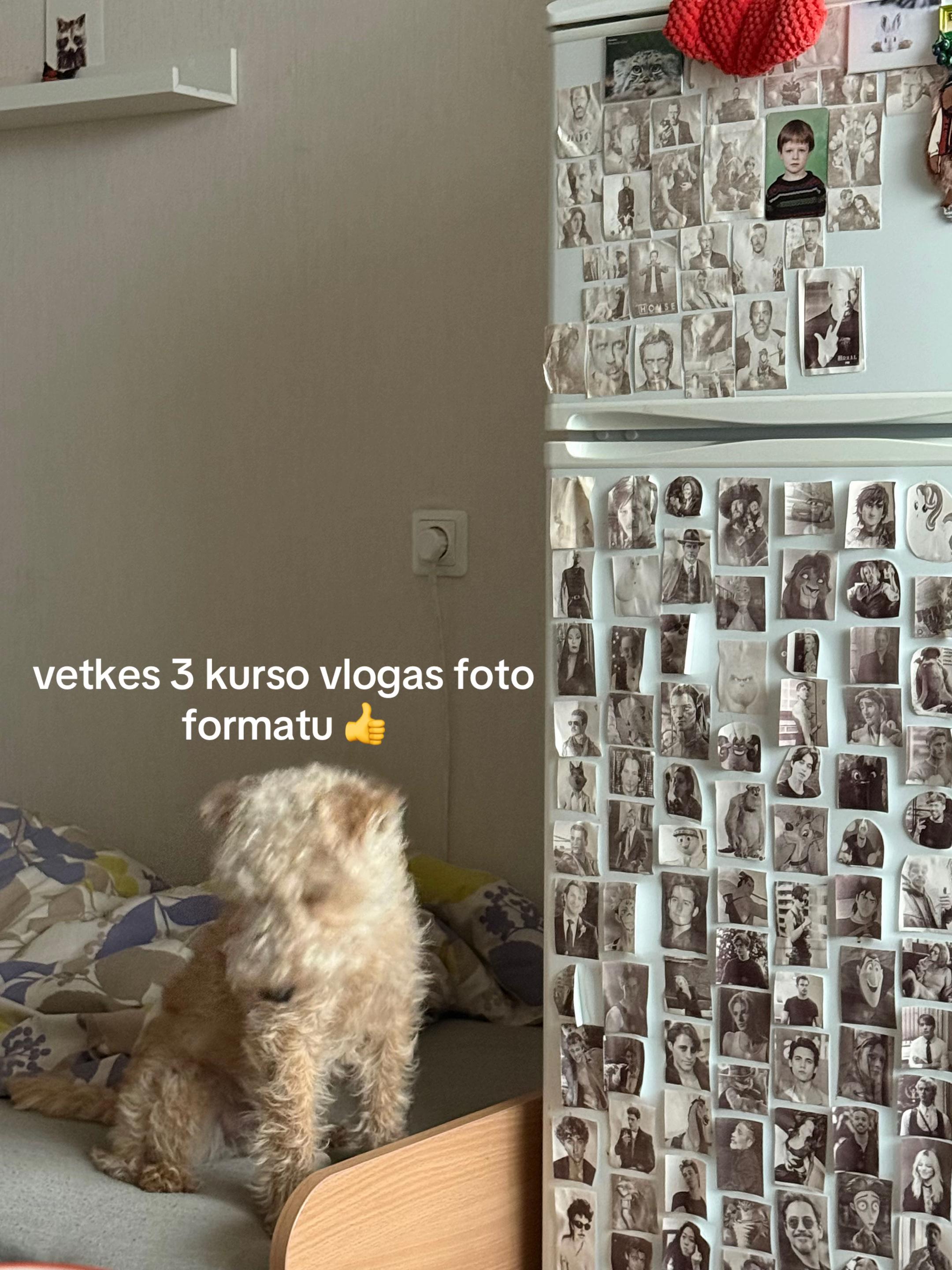 @rimantė