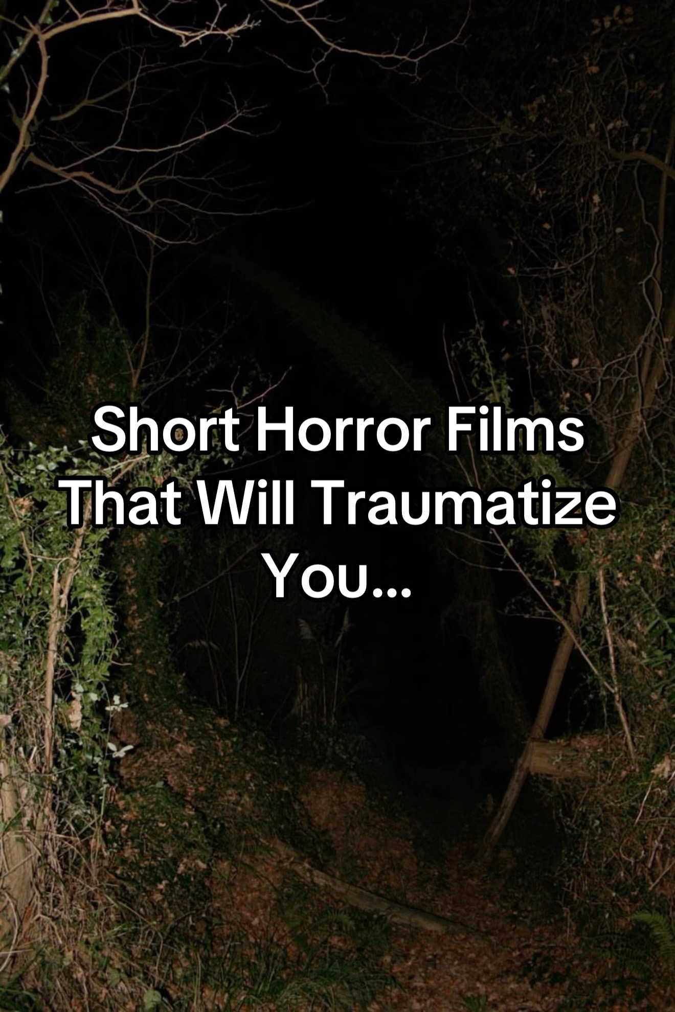 @Megan's Horror 🩶