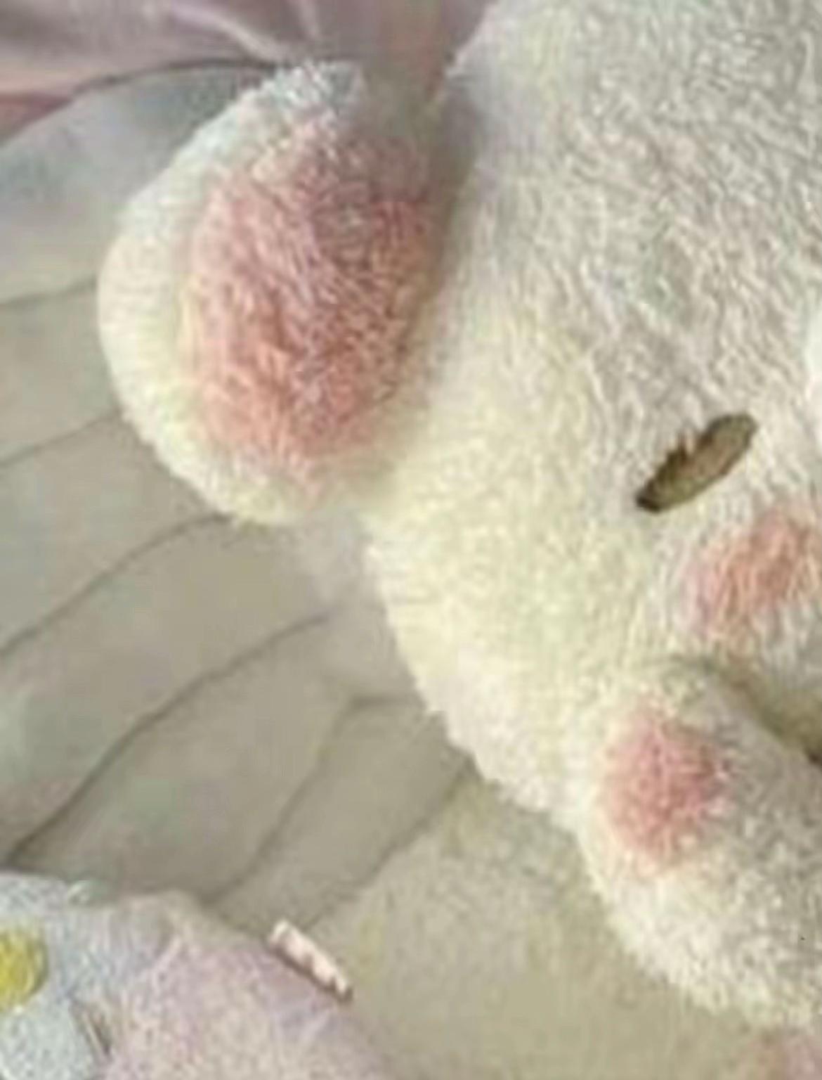 @๐ๆ