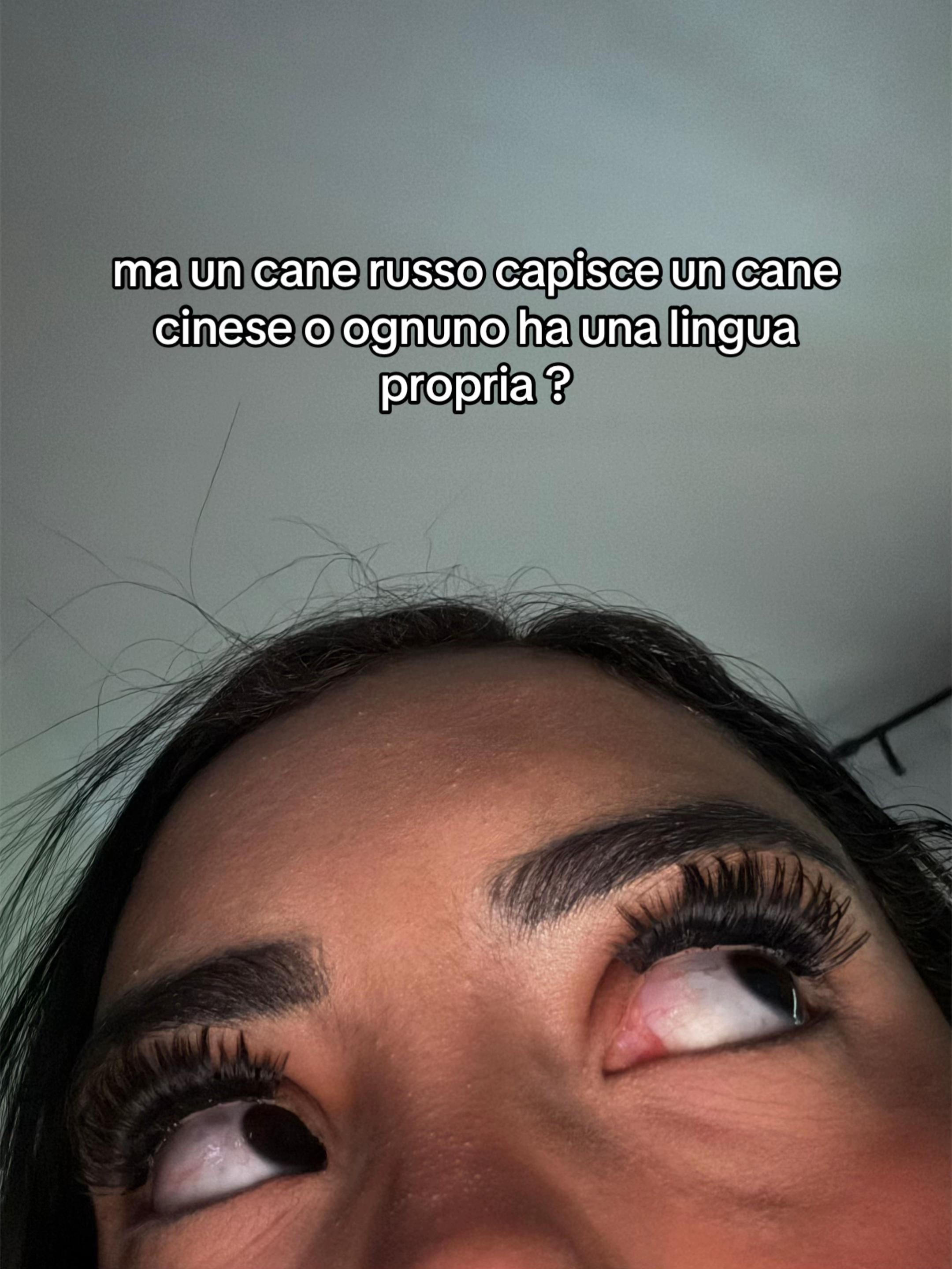 @ines