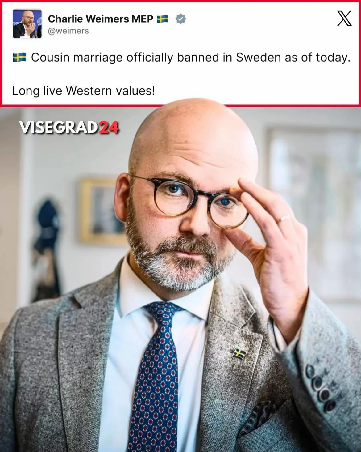 @Visegrad24