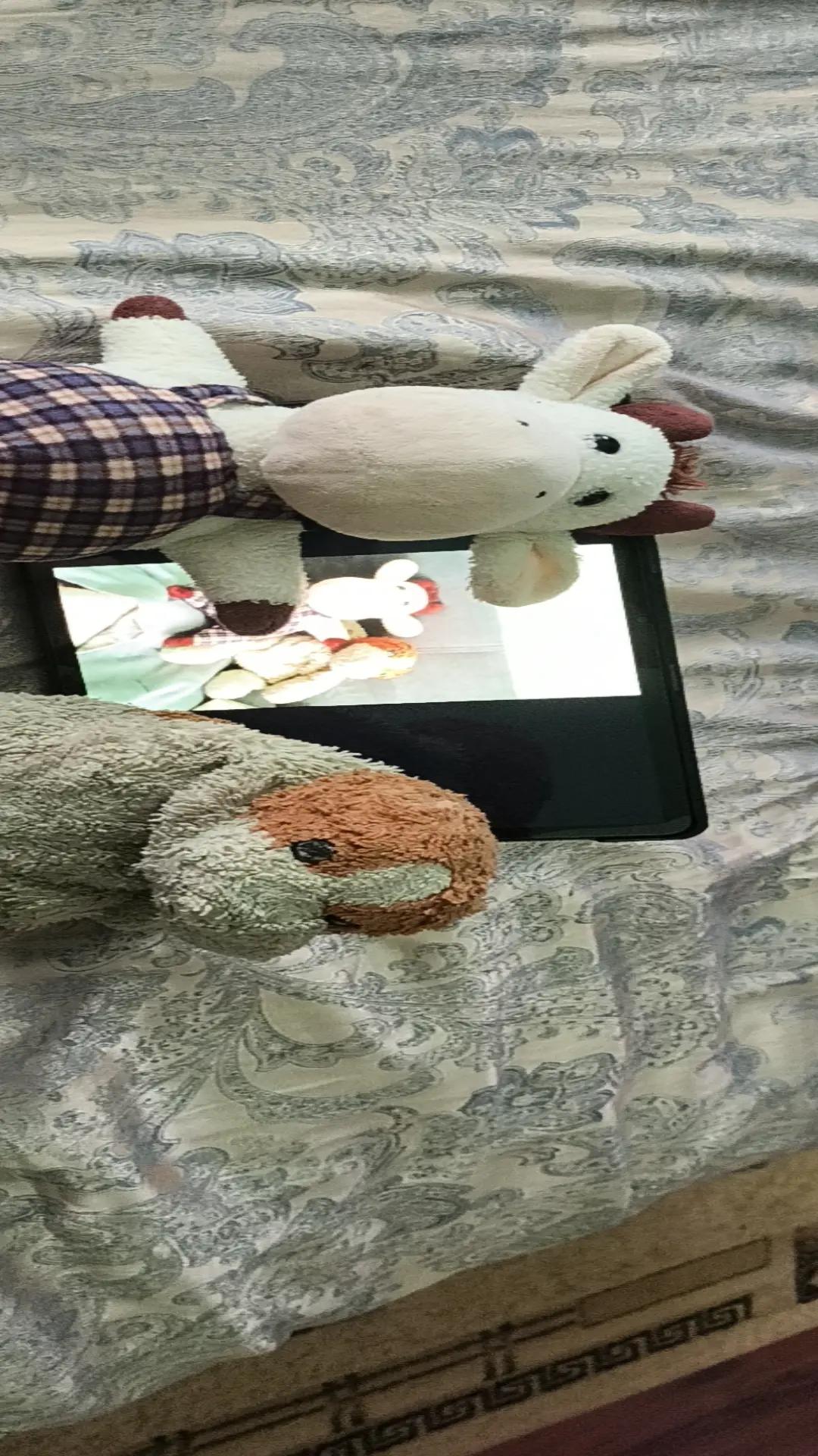@Дикий арбуз