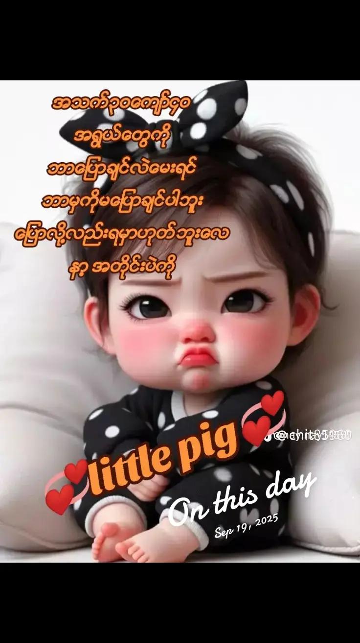 @Little pig636