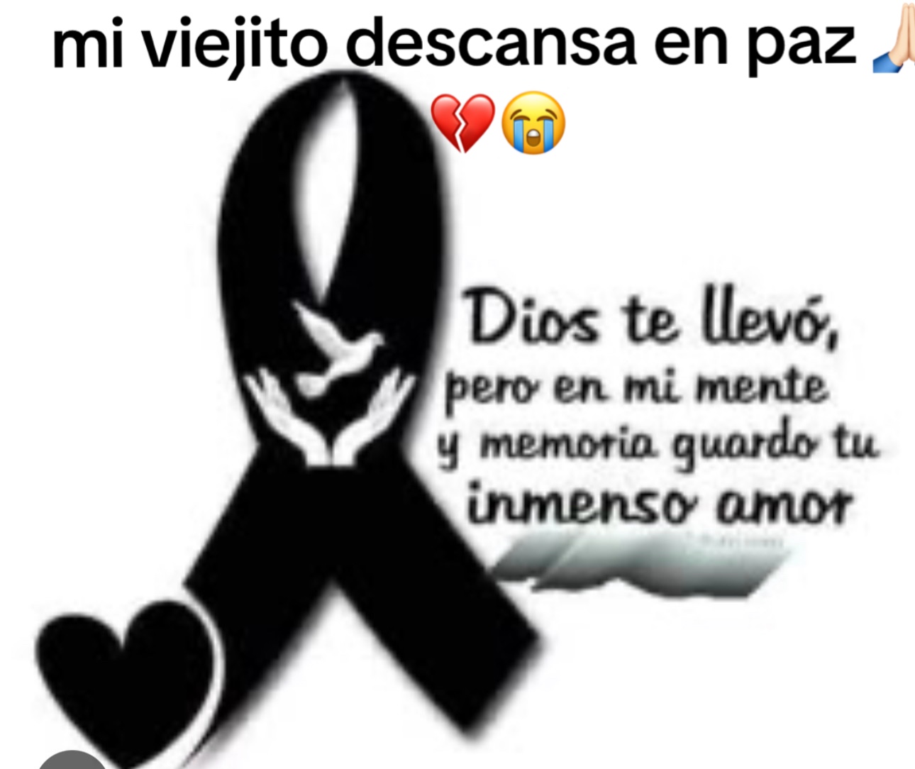 @Kenia la peluchita