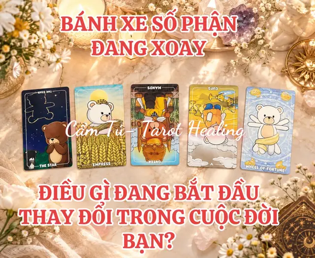 @Cẩm Tú - Tarot Healing