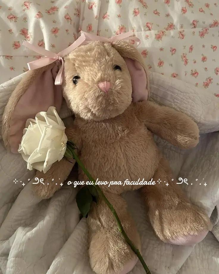 @soso 🎀