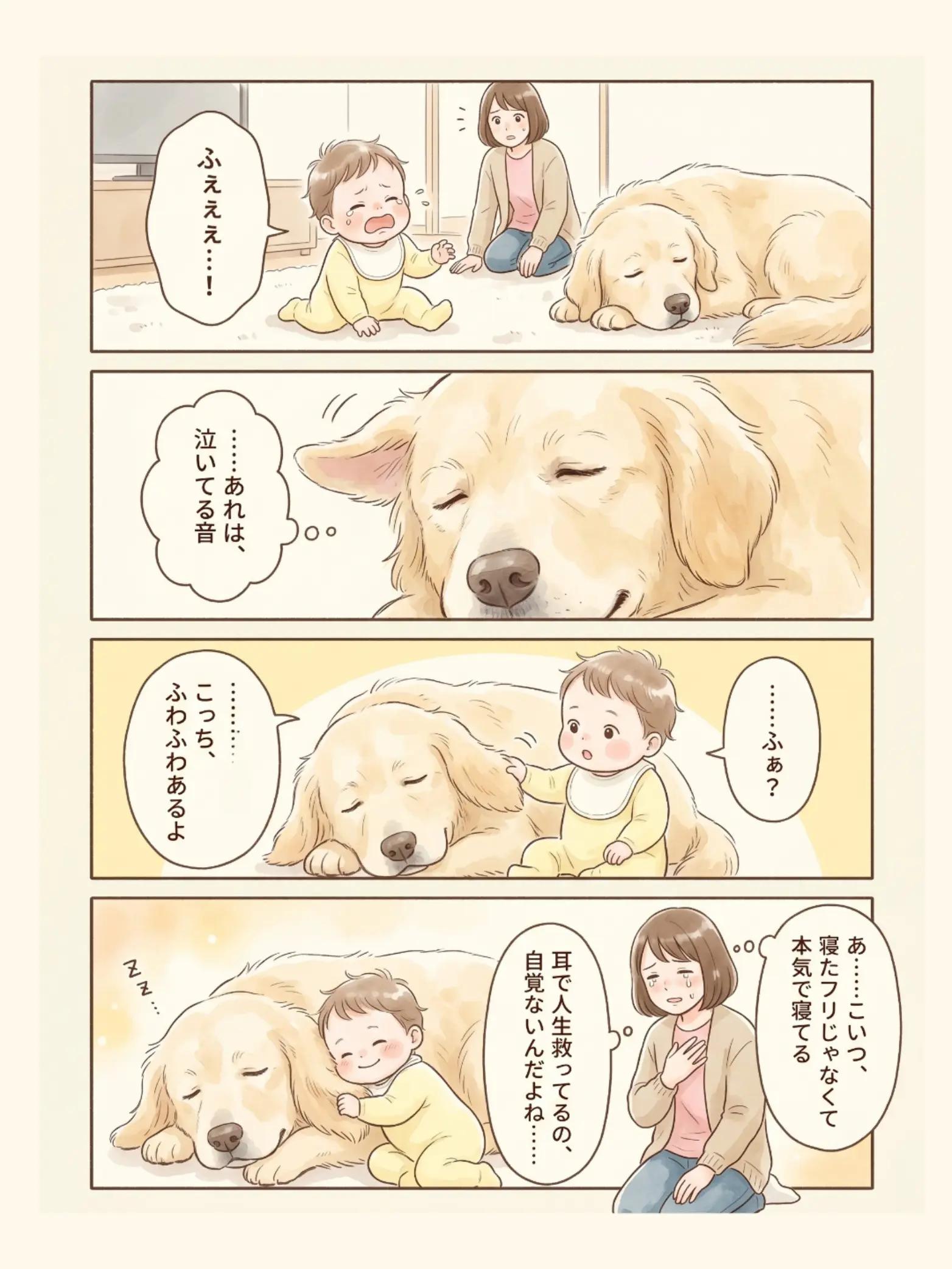 @都内のチワワ