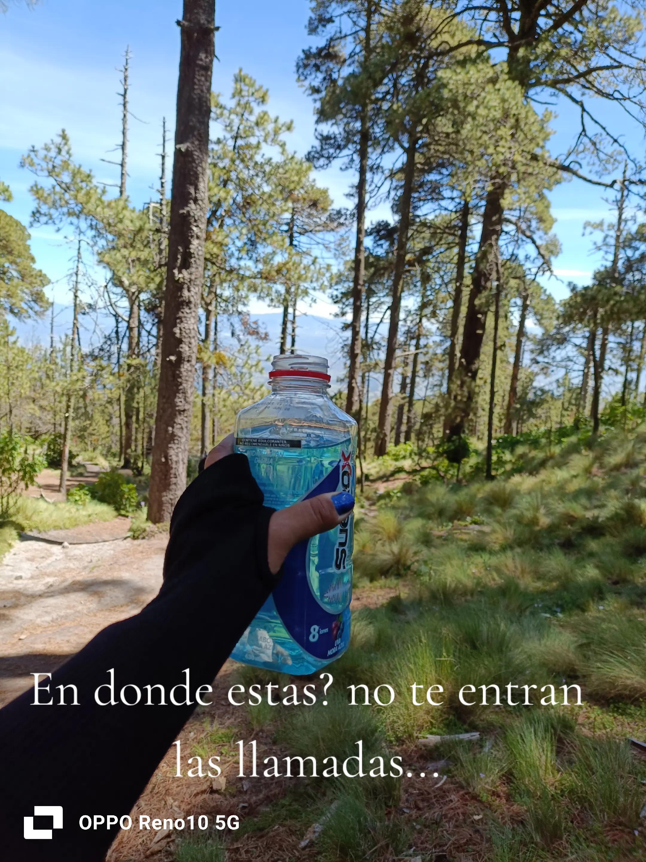@Karla MT