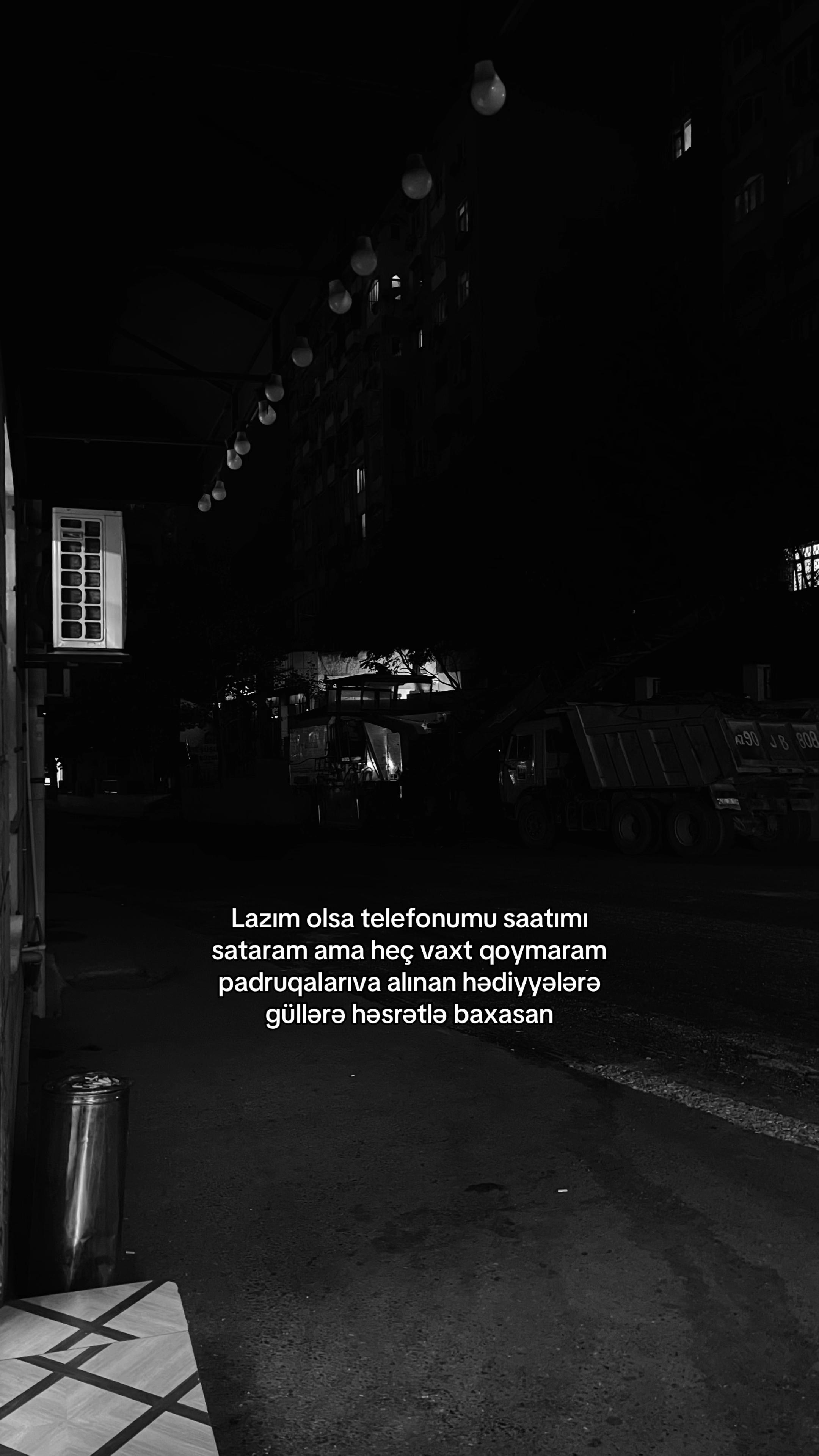 @usermammdov