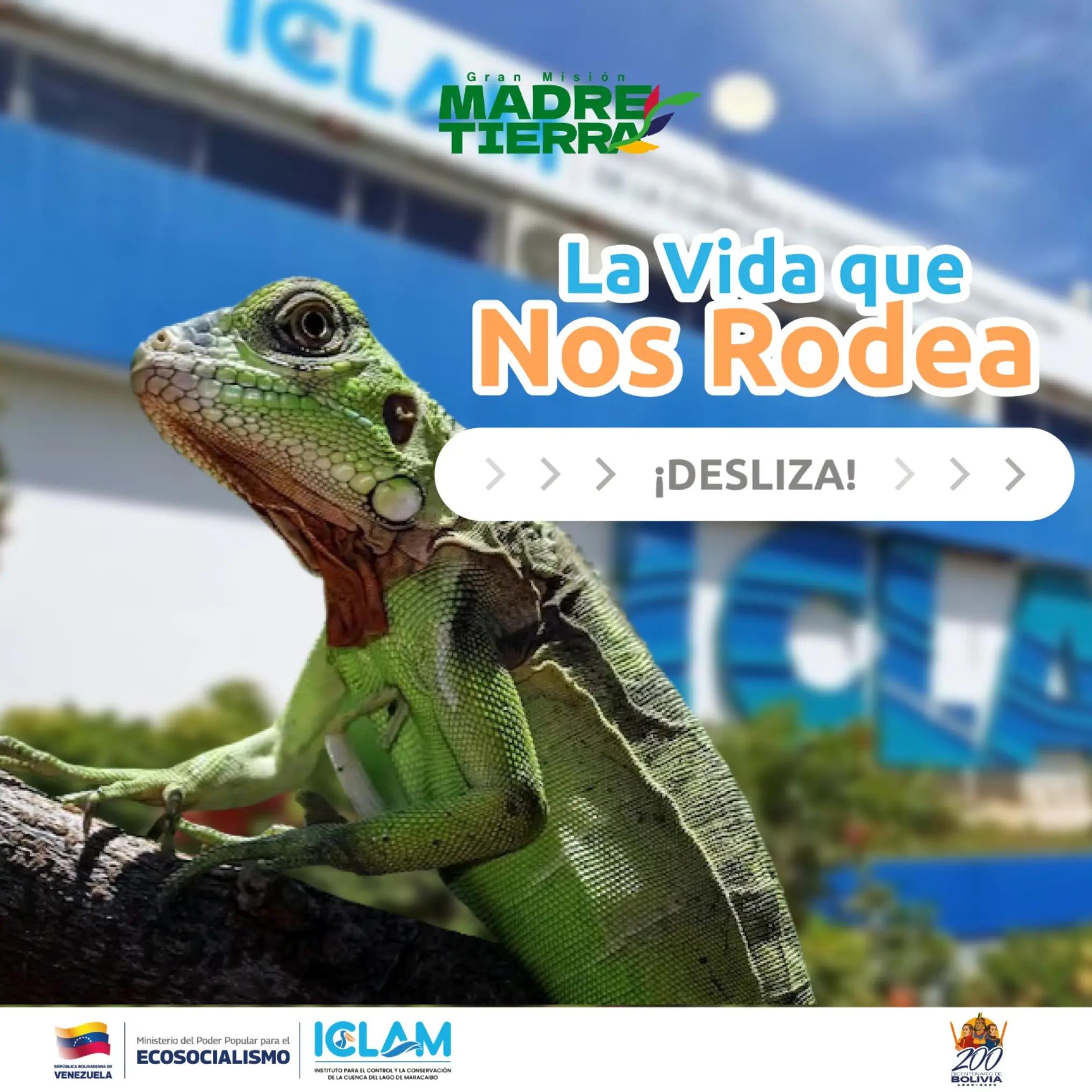 @iclam_ve