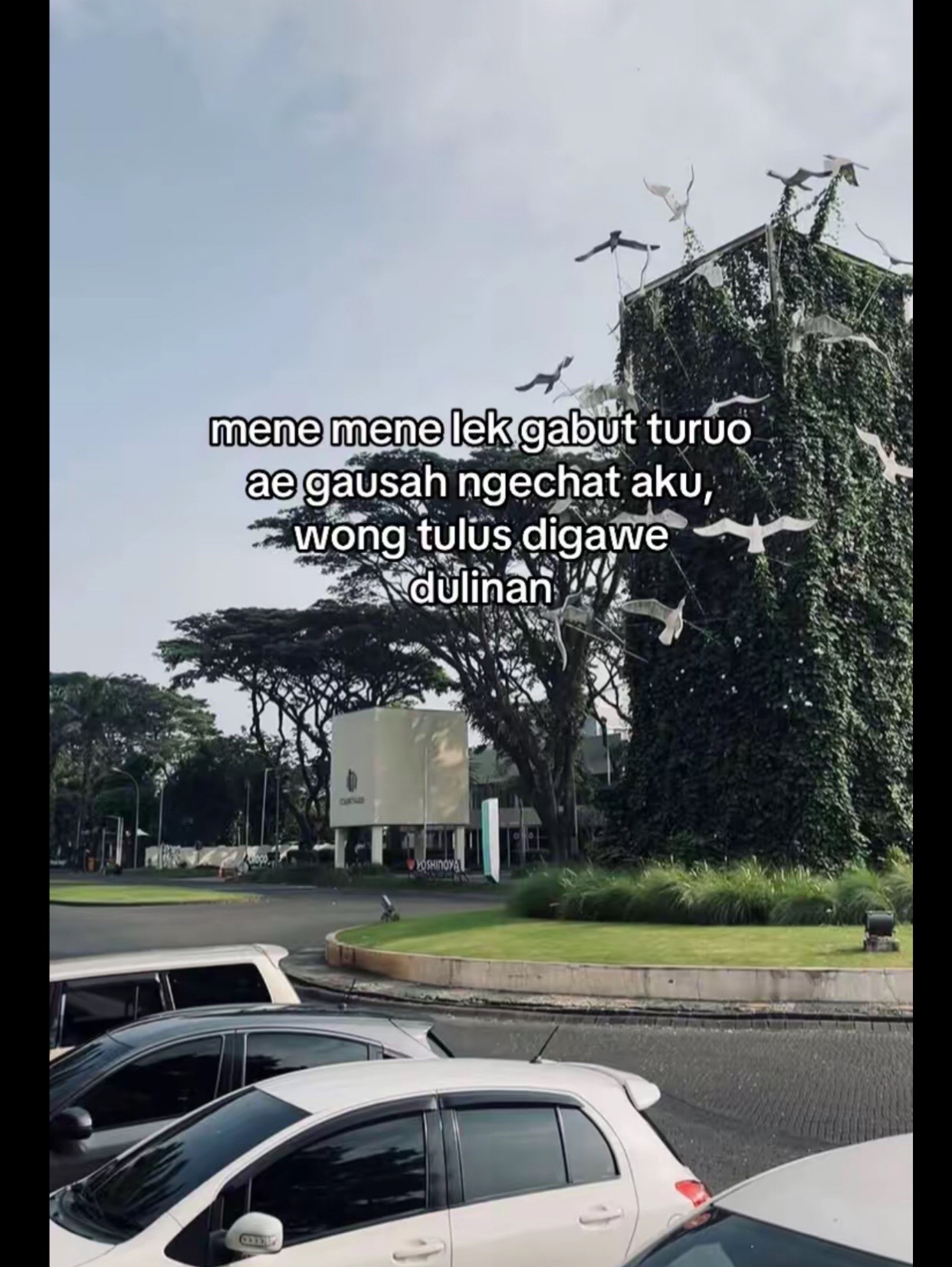 @D💕