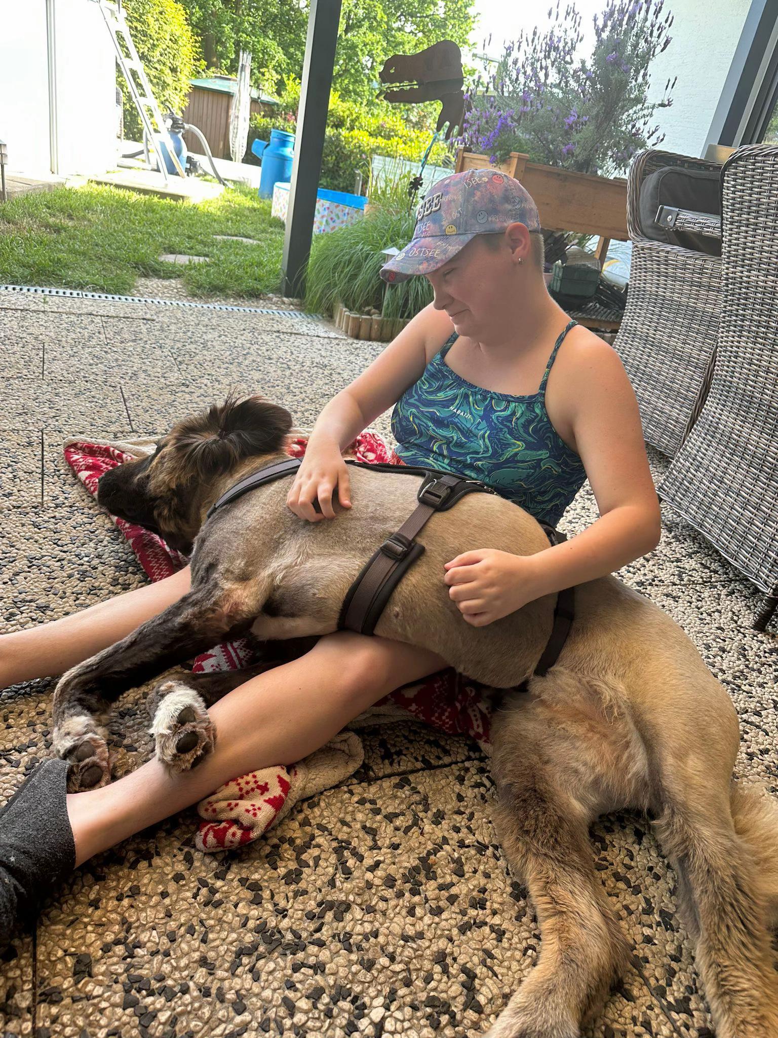 @g_m_k_l2026hunde