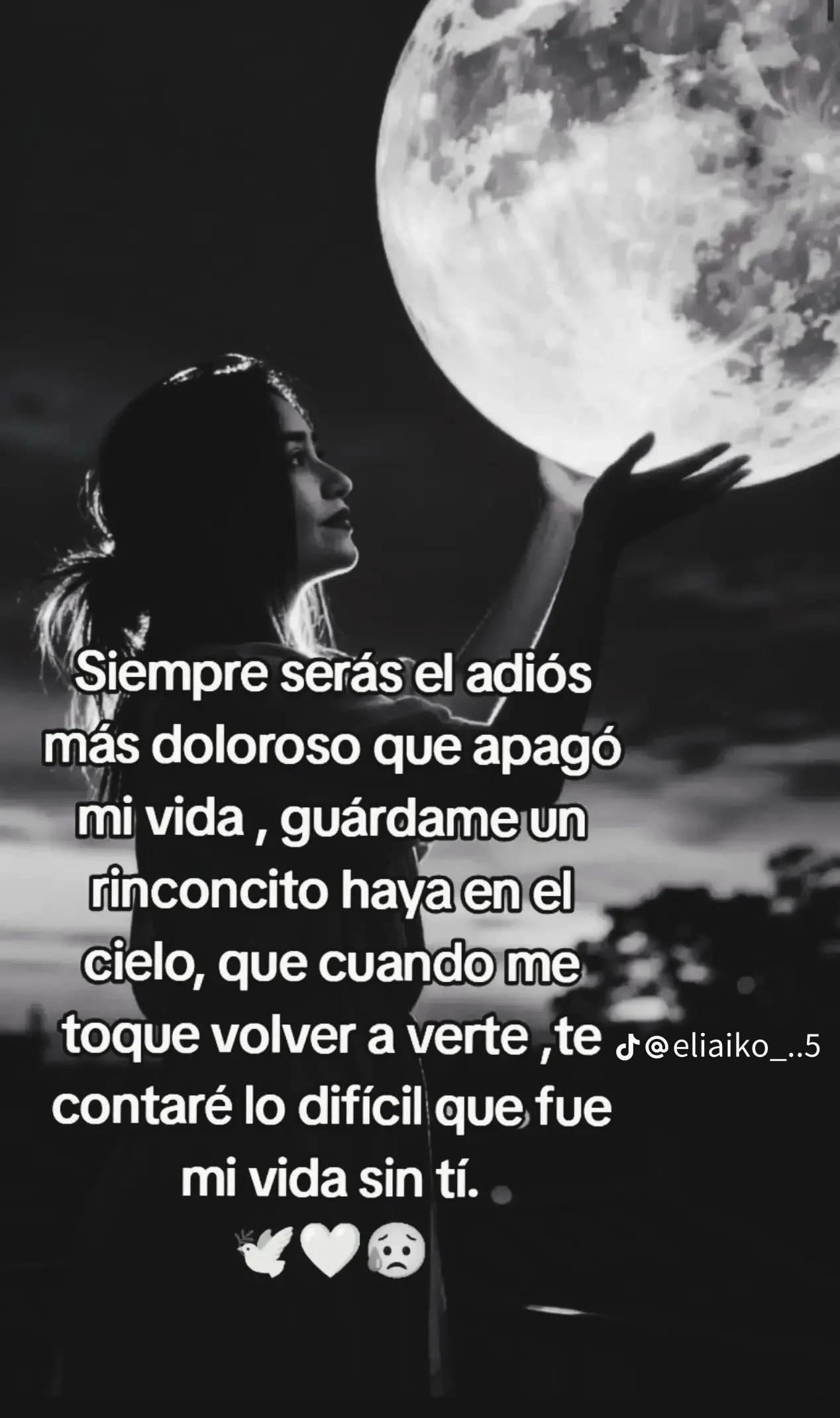 @🐚🐚@GRACIELA ÁVALOS MICHEL🐚
