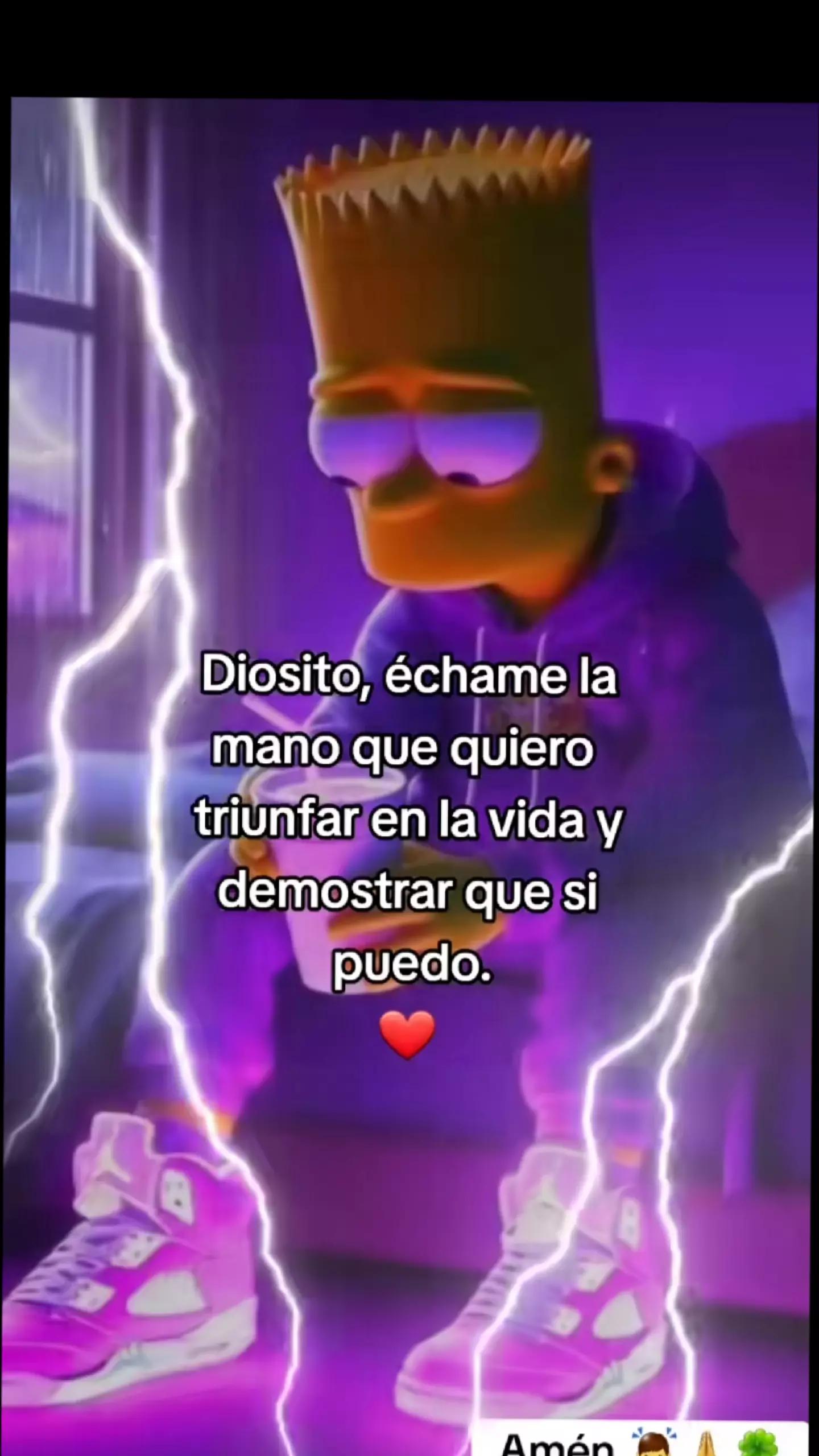 @Tu Sarquito Favorito