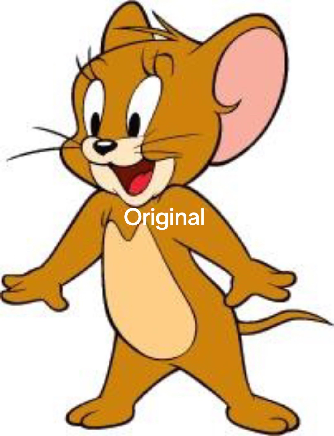 @🐰