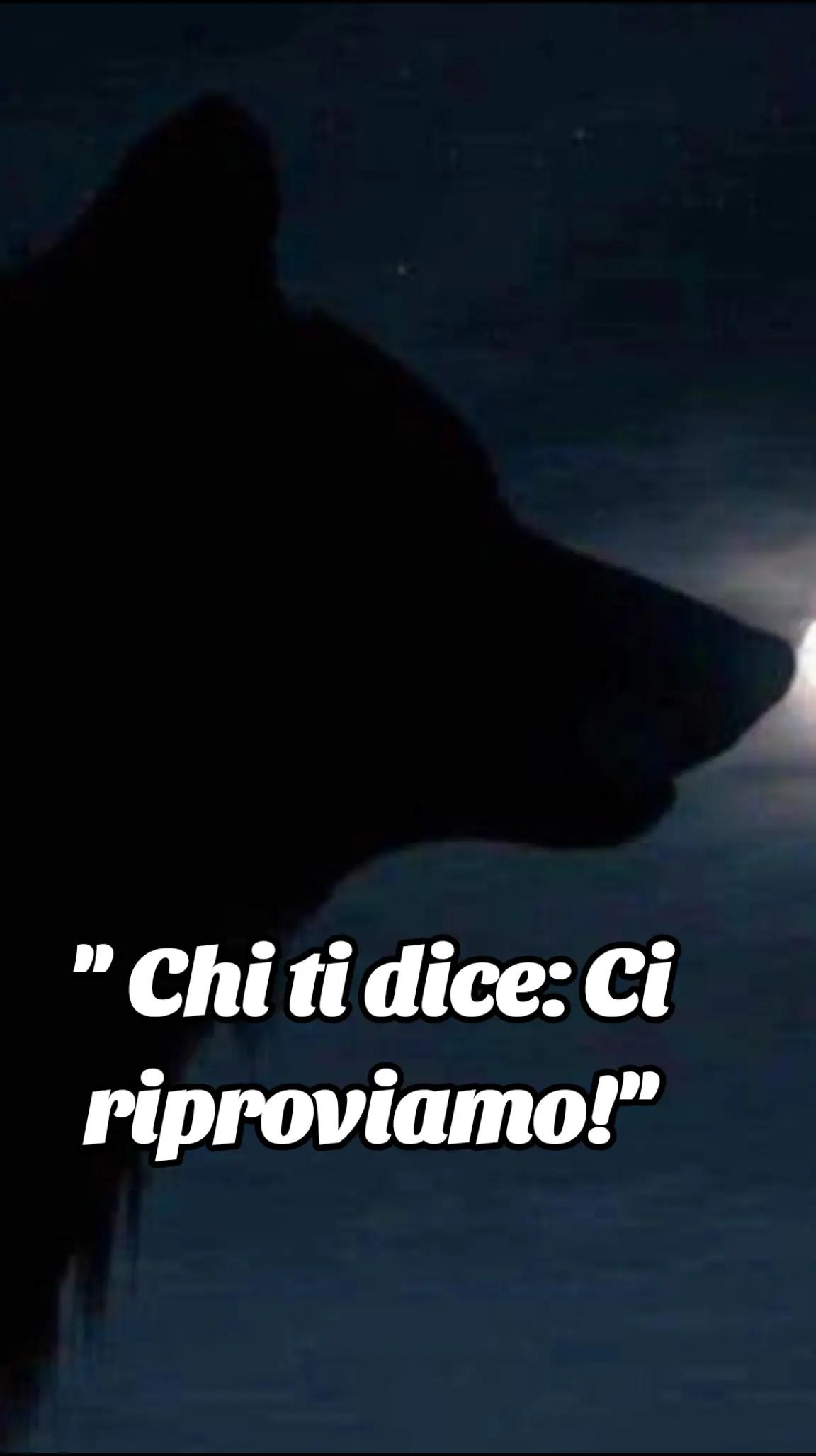 @๐บ๐ฝCrazy Wolf.
