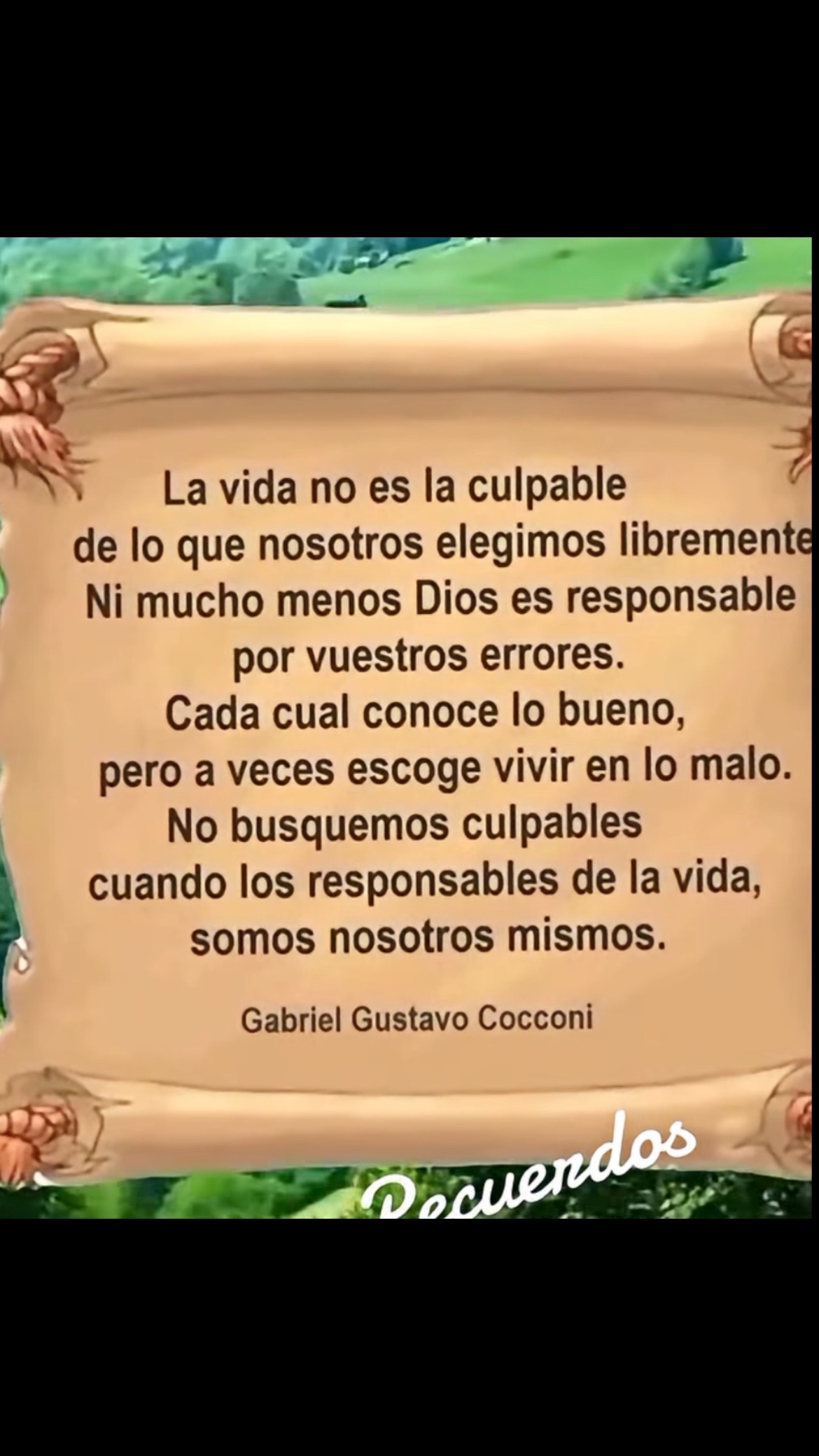 @Pedro Cruz