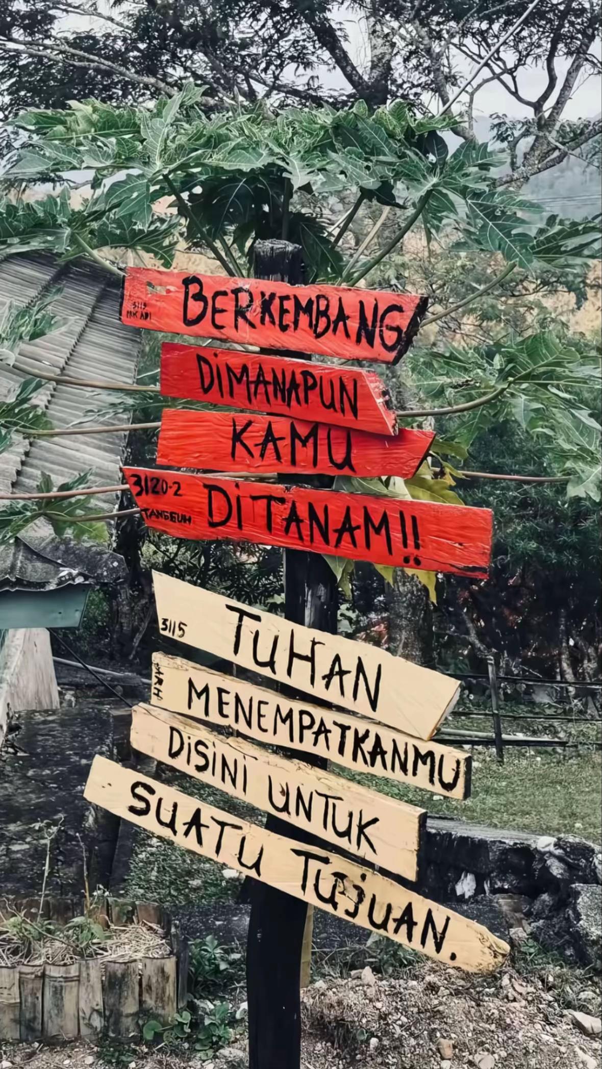 @Bang_buan🕸️