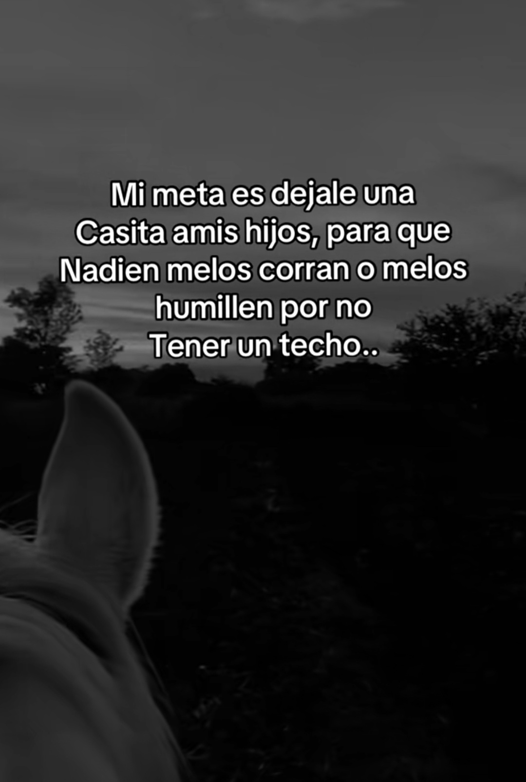 @Irma Bustamante