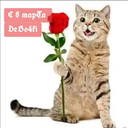 @PbCl2(!)