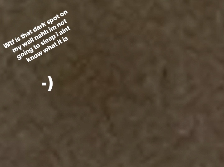 @gamerboy1233