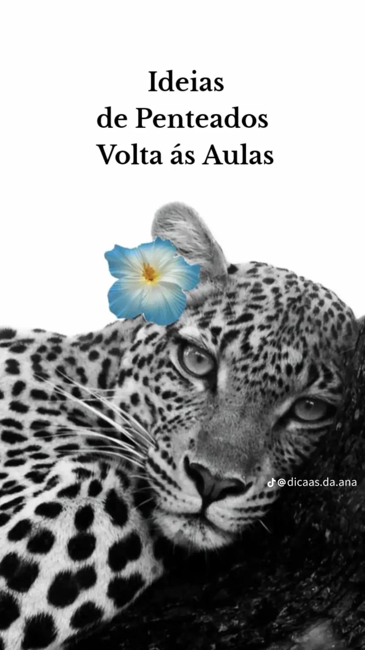 @🦋✨ Cecília linda ✨🦋