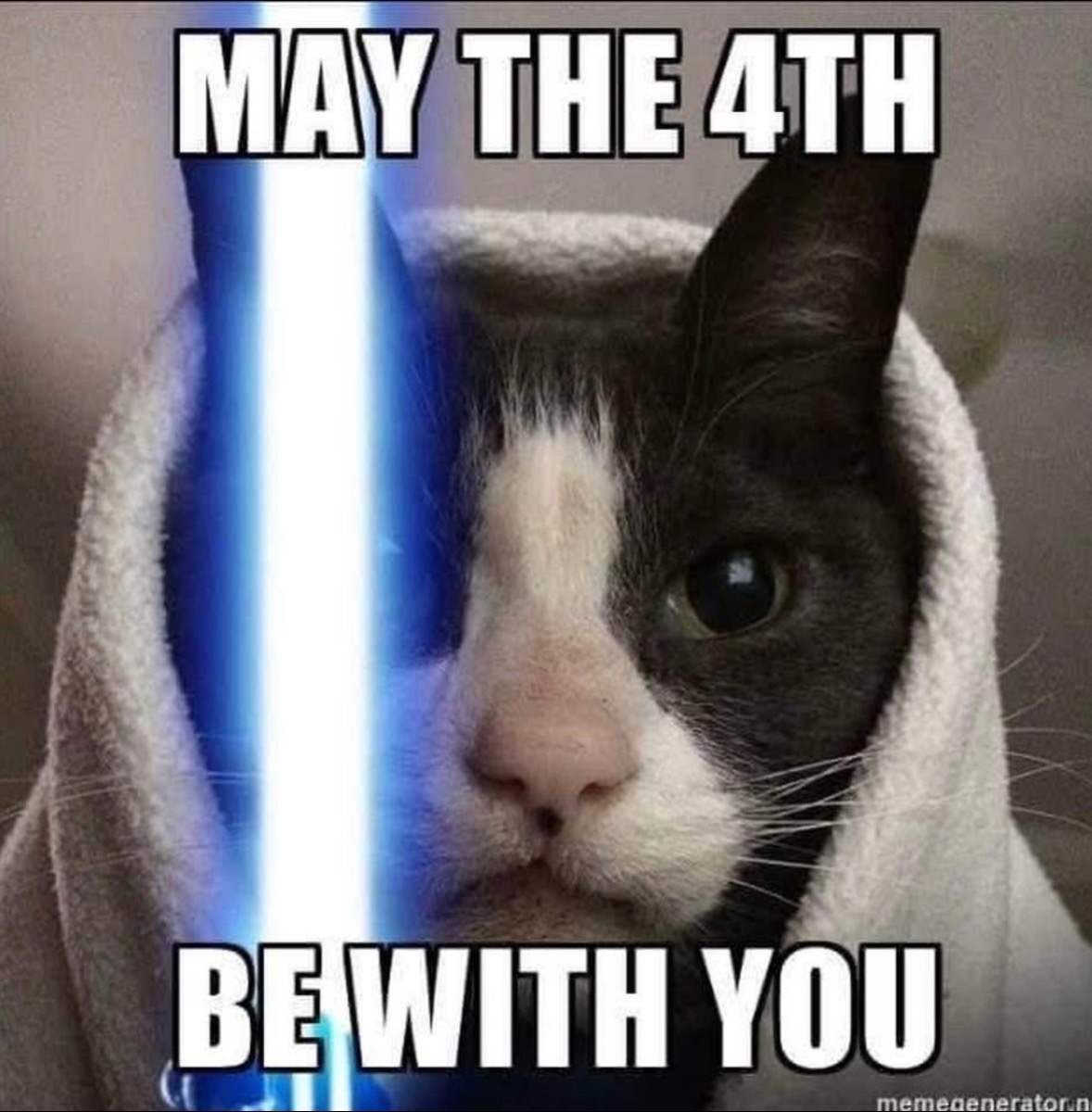 @Bratcats