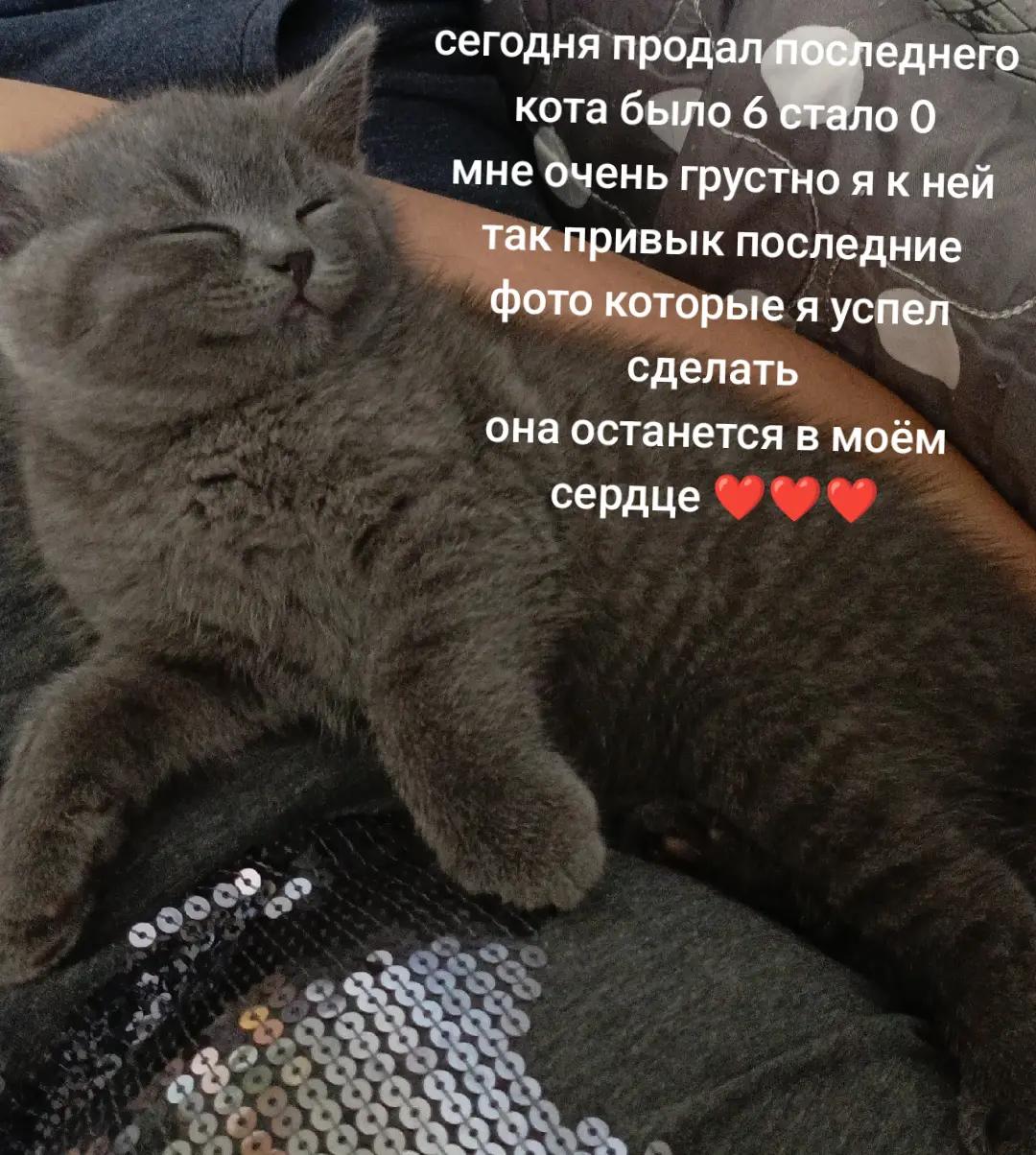 @ТЕРМИНАТОР