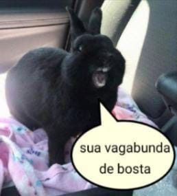 @🐇__Goldy__Miya__s2🐇