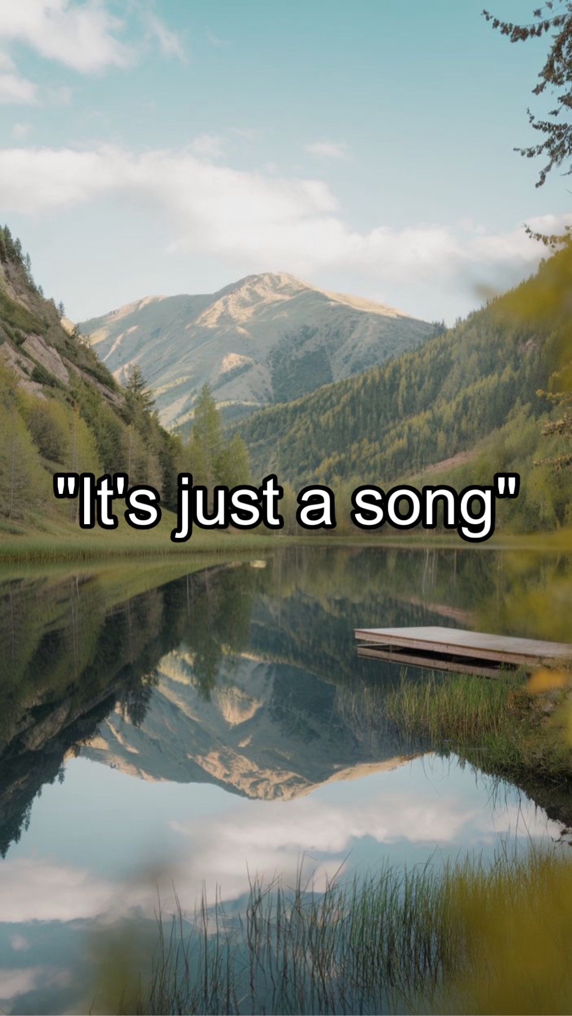 @CountryMusicEnjoyer🤠