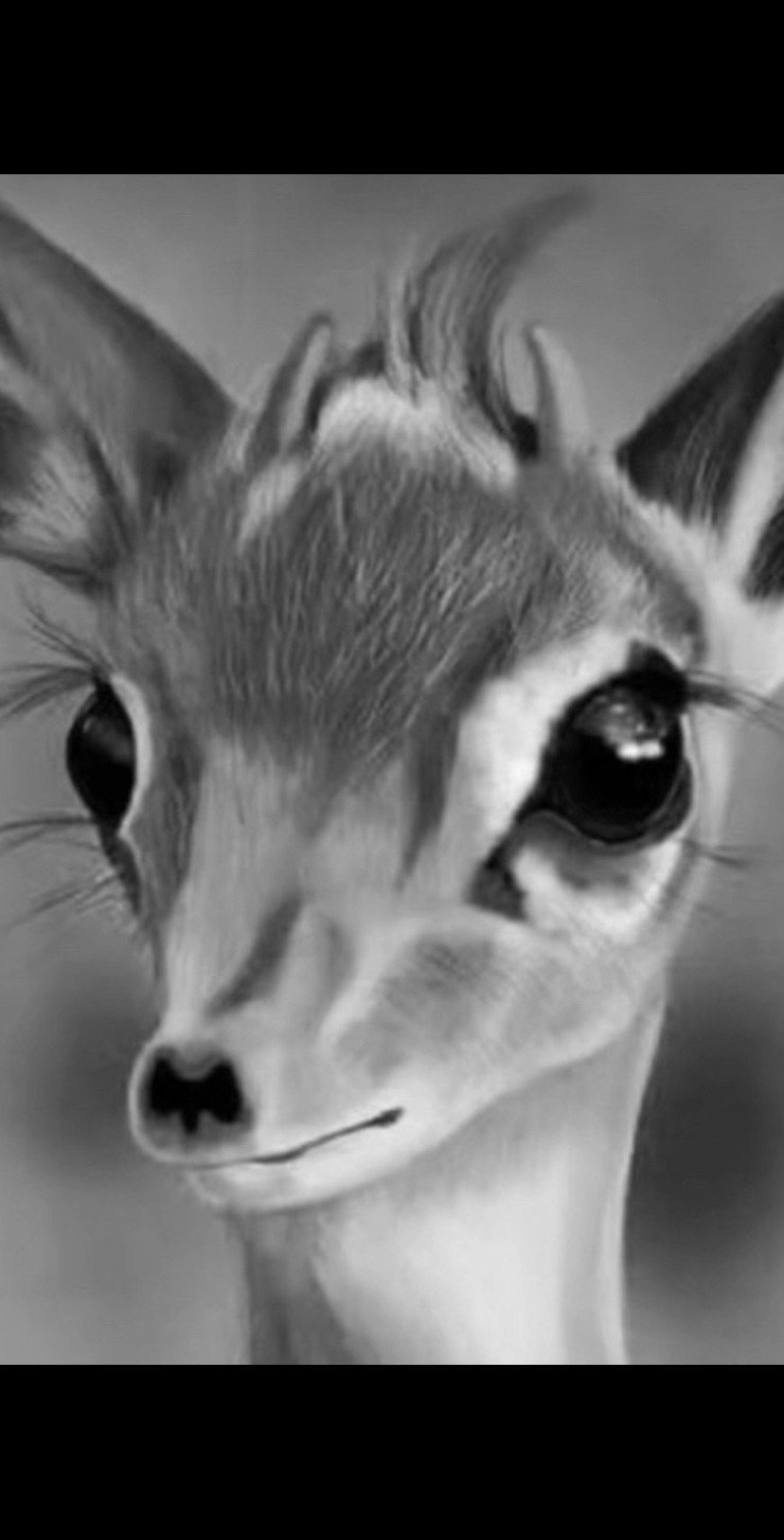 @᷂غرنوقه ᷂الشيبـاانيّ ♕.