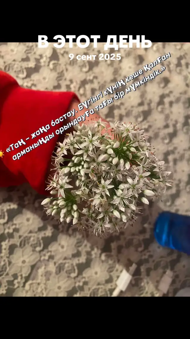 @🐣