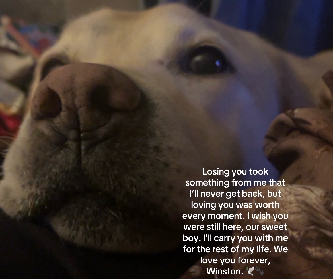 @soulpetal