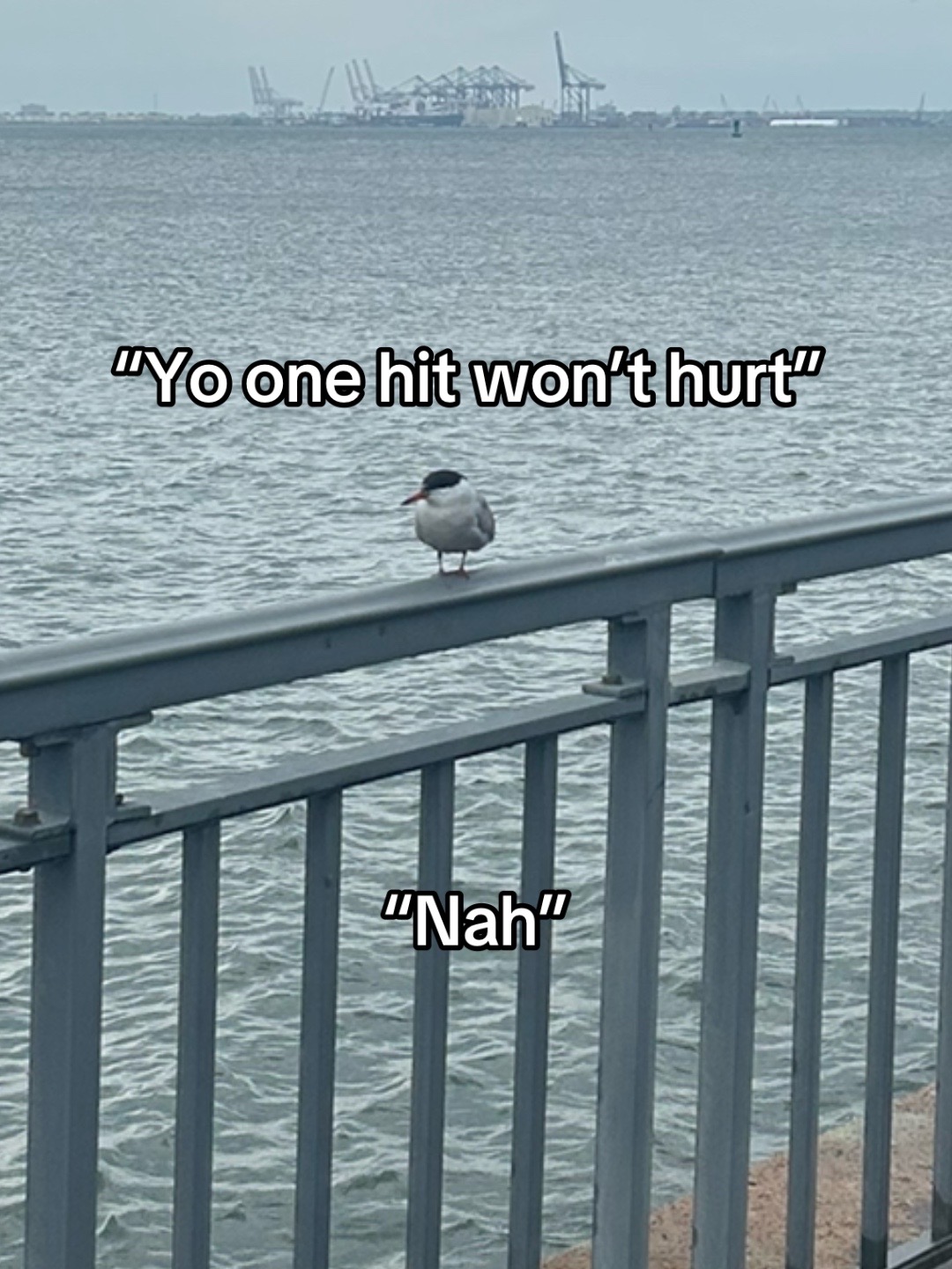 @frostyyikes